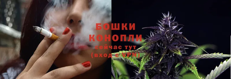 где купить   Купино  Шишки марихуана Ganja 